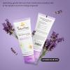 imageLil Naked Bee Baby Lotion for Kids 25oz Lavender Lullaby Cheeks to Cheeks Face ampamp Body Lotion for Hydrating ampamp Moisturizing Skin
