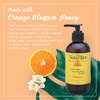 image:imageThe Naked Bee Nourishing Body Lotion for All Skin Types 8 fl oz Moisture Replenishing Lotion for Dry Skin with Citron amp HoneyOrange Blossom Honey