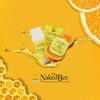 image:imageThe Naked Bee Nourishing Body Lotion for All Skin Types 8 fl oz Moisture Replenishing Lotion for Dry Skin with Citron amp HoneyVanilla Rose  Honey