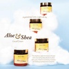 image:imageThe Naked Bee Grapefruit Blossom Honey Aloe amp Shea Cream 8 ozPomegranate