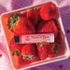 image:imageThe Naked Bee USDA Organic Strawberry Blossom Lip Balm 15 ozStrawberry Blossom