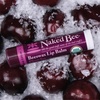 image:imageThe Naked Bee USDA Organic Strawberry Blossom Lip Balm 15 ozWinter Wonderland Organic Trio